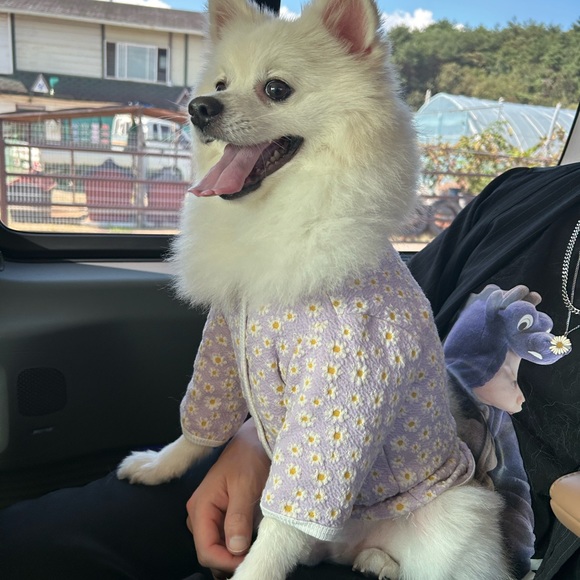 Meet your Posher, Lee! - Picture 7 of 7